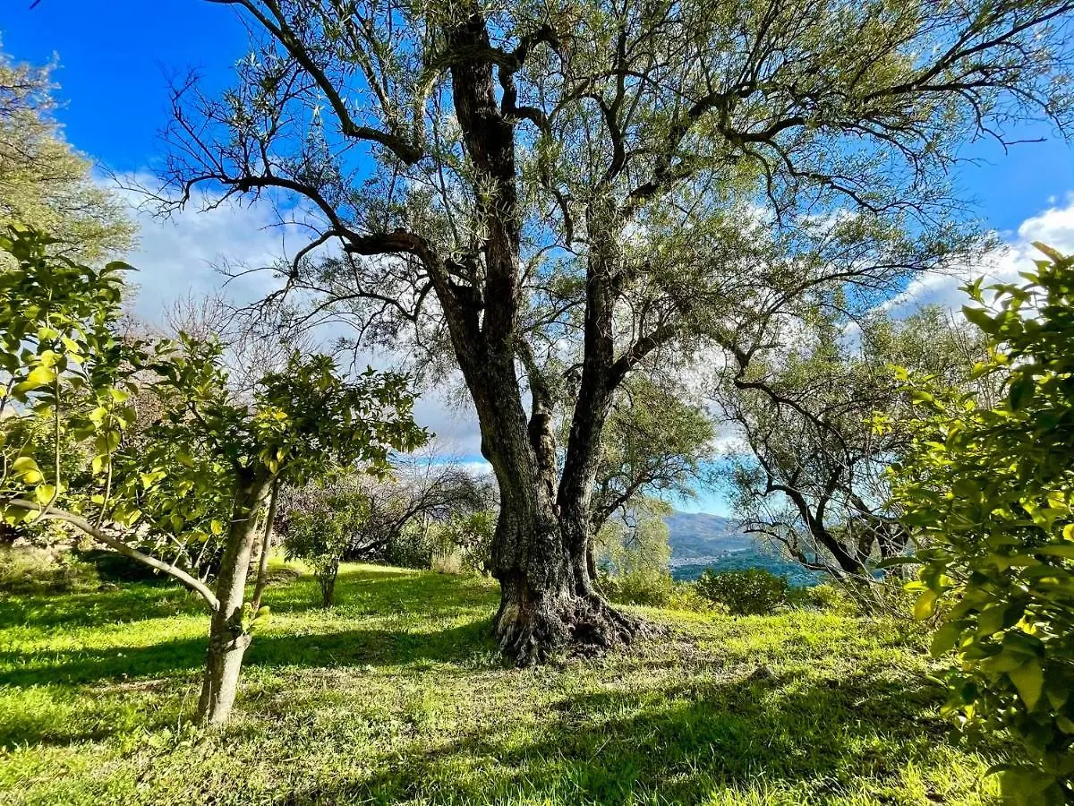 La Esperanza Granada Luxury Hacienda & Private Villa Saleres