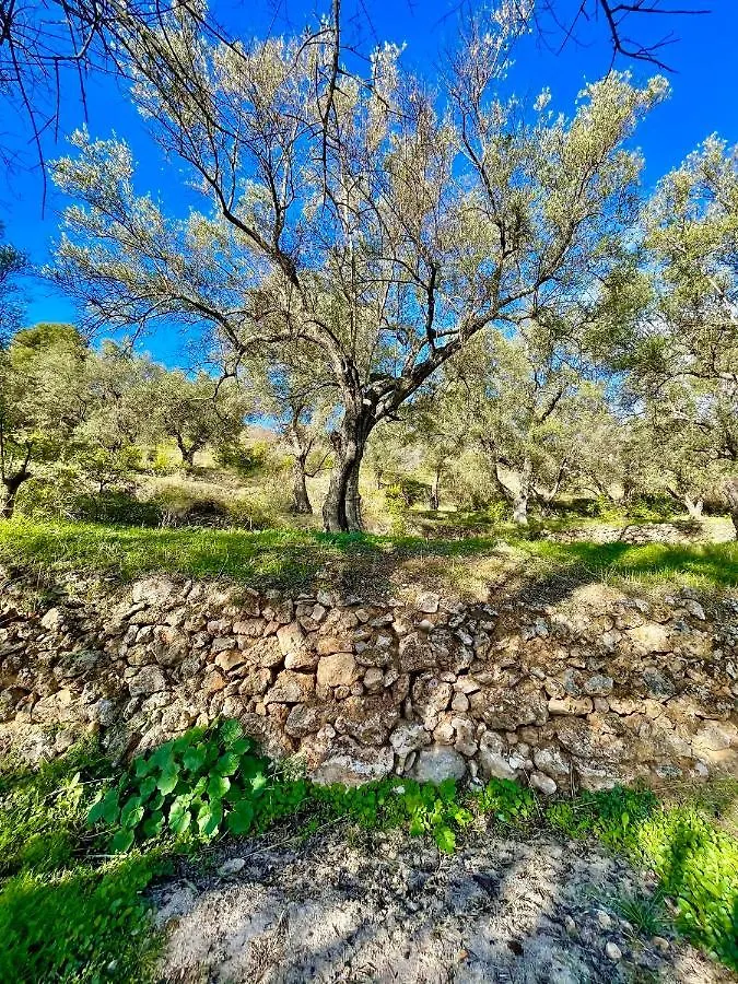 Country house La Esperanza Granada Luxury Hacienda & Private Villa Saleres